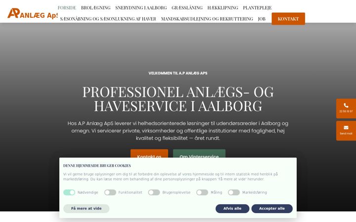 Screenshot of apanlaeg.dk