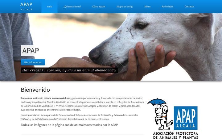 Zrzut ekranu apap-alcala.org