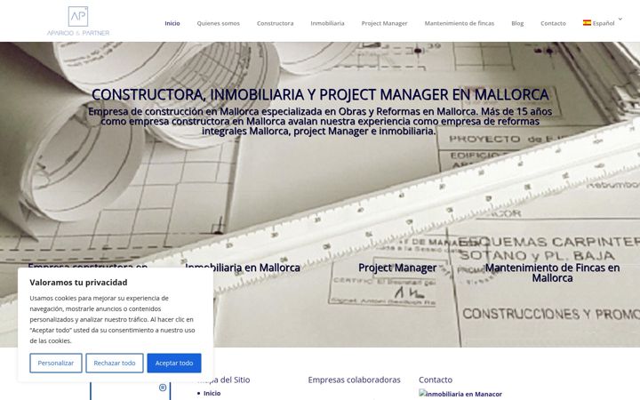 Screenshot of aparicio-partner.com
