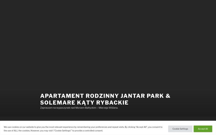 Screenshot of apartamentjantar.pl