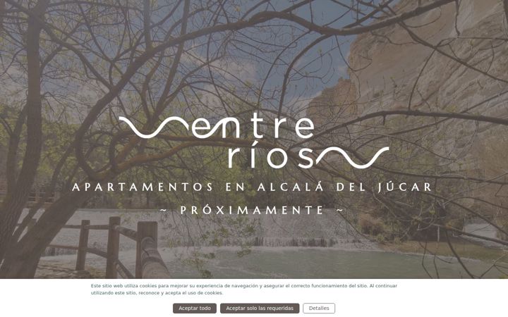 Screenshot of apartamentosalcala.es