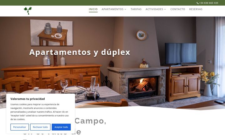 Screenshot of apartamentosnaspun.com