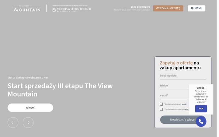 Zrzut ekranu apartamenty-view.pl