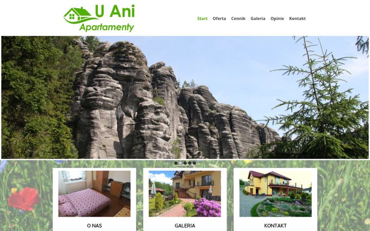 Screenshot of apartamentyania.com