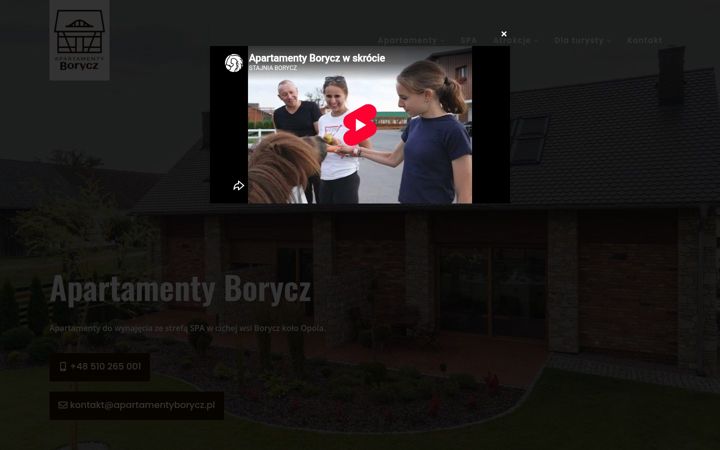Captura de ecrã de apartamentyborycz.pl