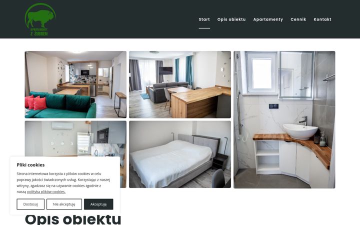Screenshot of apartamentyzzubrem.pl