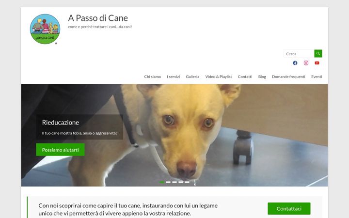 Screenshot of apassodicane.it