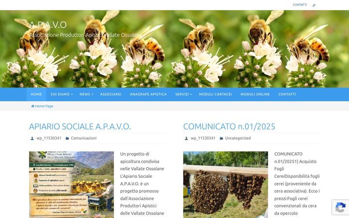 Screenshot di apavo.it