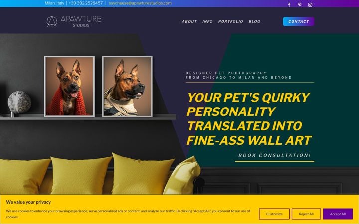 Screenshot of apawturestudios.com