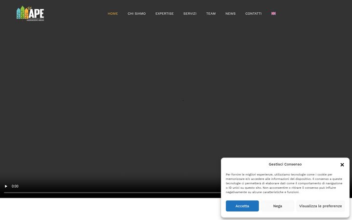 Screenshot του ape-stp.it