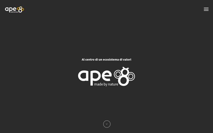 Screenshot of ape8srl.com