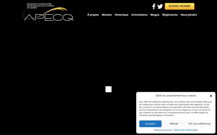 Screenshot of apecq.net