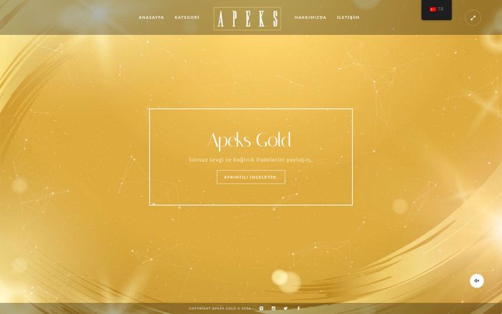 Posnetek zaslona apeksgold.com
