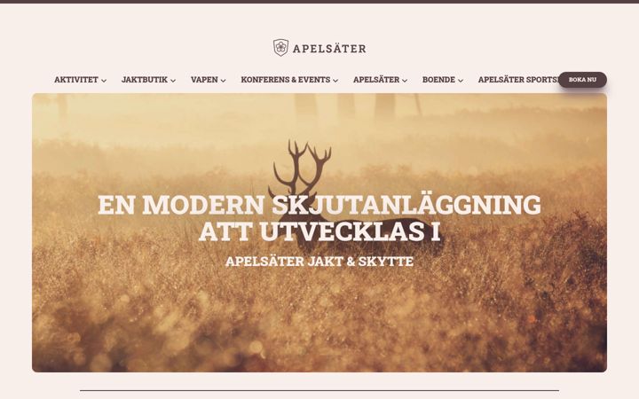 Screenshot of apelsater.se