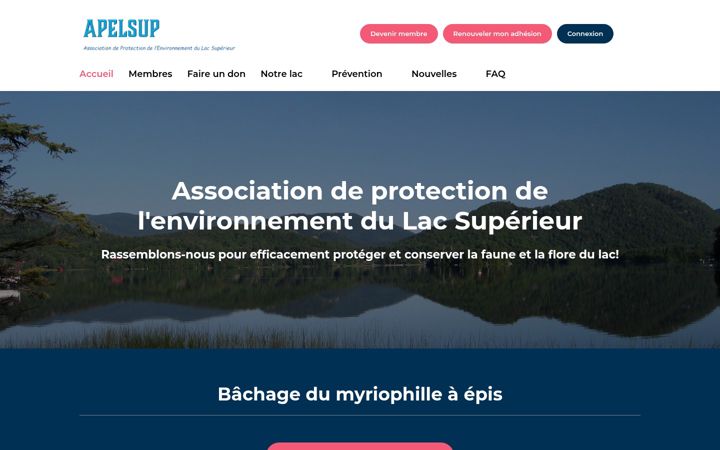 Screenshot of apelsup.com