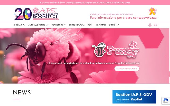 Screenshot ta' apendometriosi.it