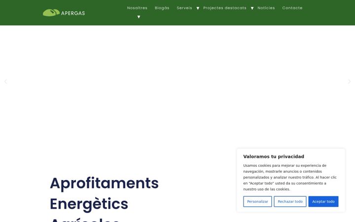 Screenshot of apergas.cat