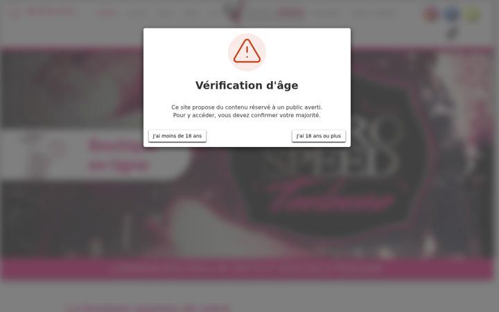 Screenshot of apero-speed-toulouse.fr