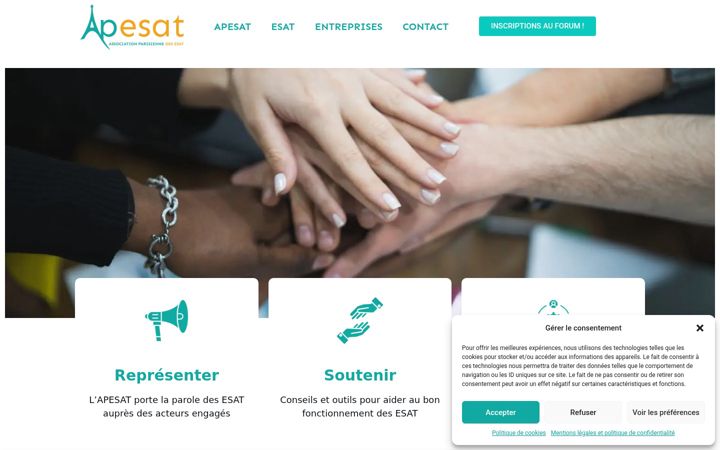 Screenshot of apesat.fr