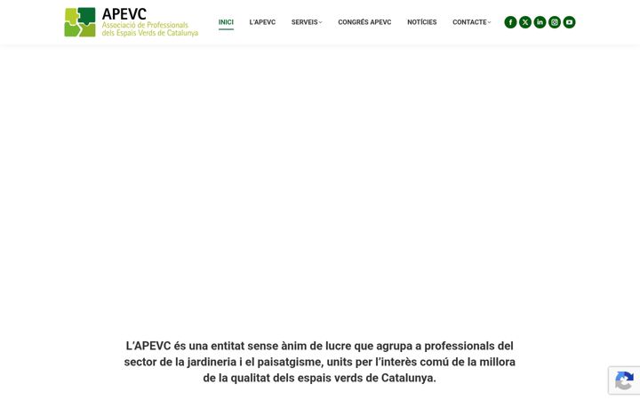 Screenshot ta' apevc.cat