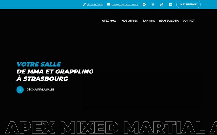 Screenshot of apex-mma.fr
