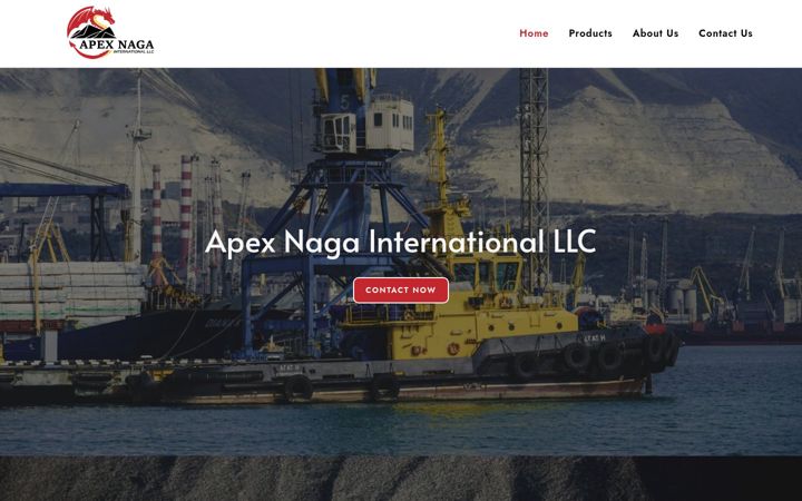 Screenshot of apexnagainternationalllc.com