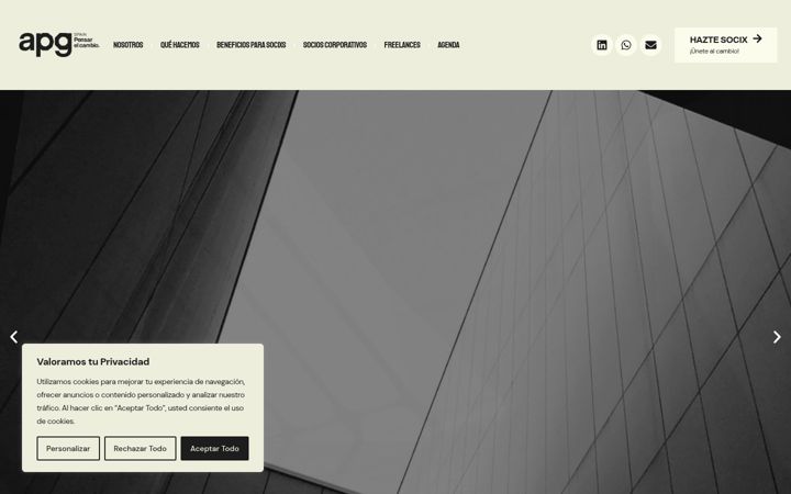 Screenshot of apgspain.es