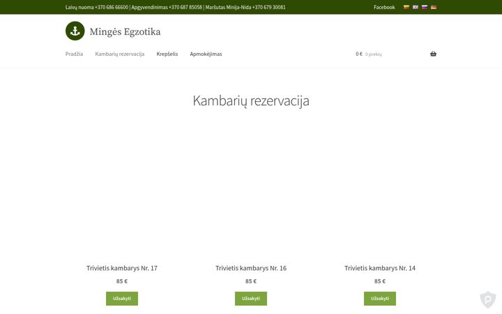 Screenshot of apgyvendinimasmingeje.lt