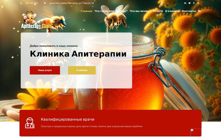 Screenshot of api-clinic.site