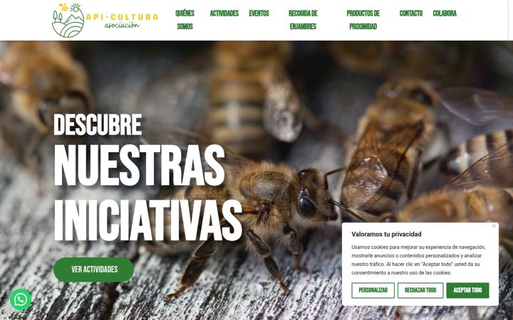 Ekrano kopija api-cultura.es