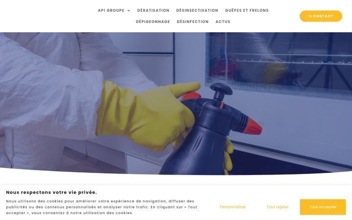 Ekrānuzņēmums no api-lutteantinuisibles.com