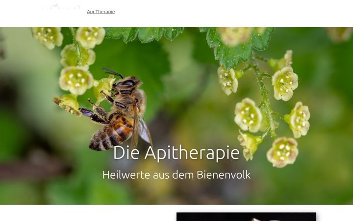 Screenshot of api-therapie.de