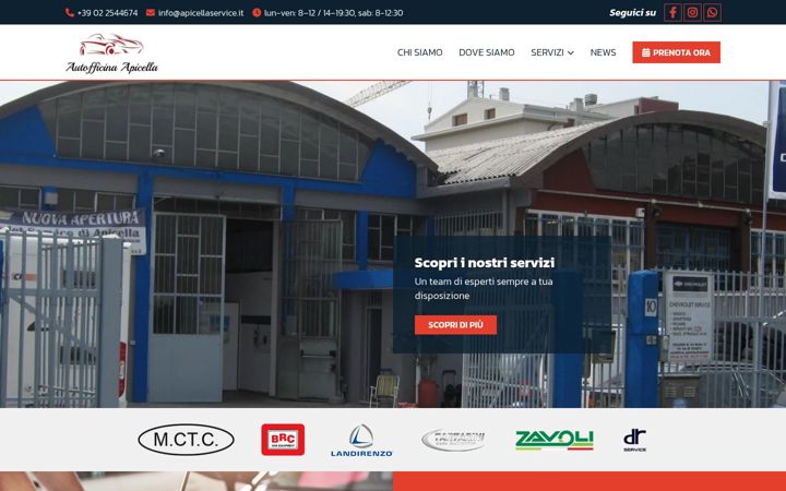 Screenshot di apicellaservice.it