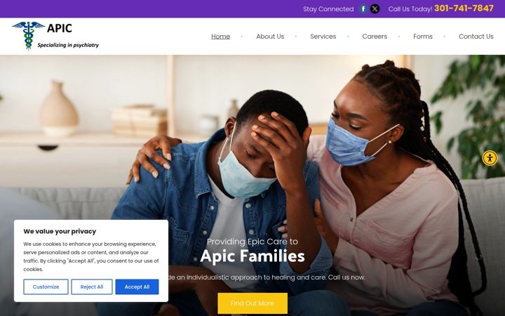 Screenshot of apichealthsystems.com