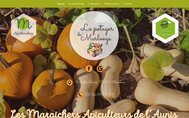 Screenshot of apichrisdam.fr