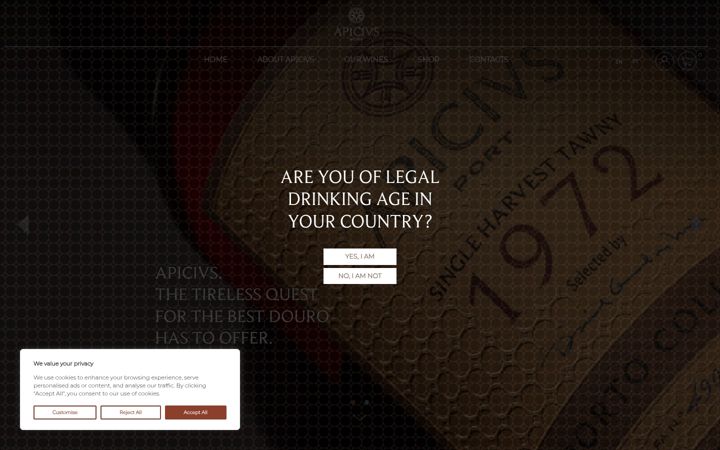 Screenshot of apicivs.com
