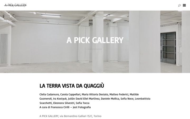 Screenshot of apickgallery.com