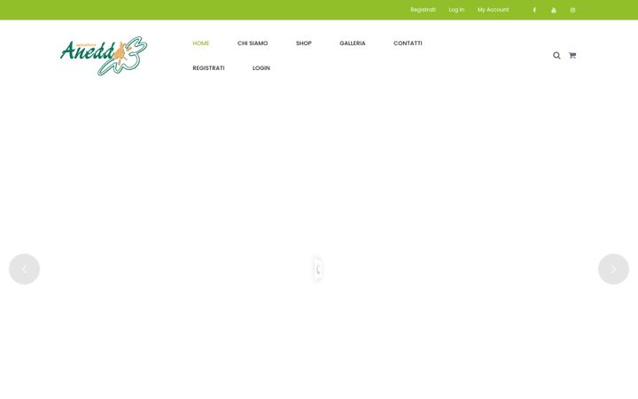 Screenshot of apicolturaanedda.com