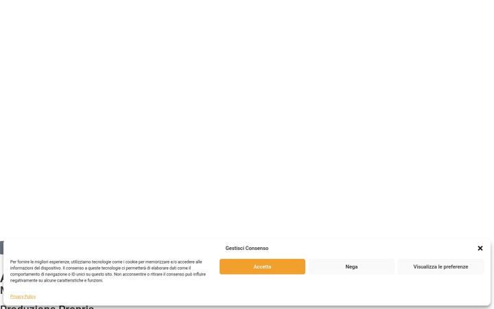 Screenshot of apicolturabrencio.it