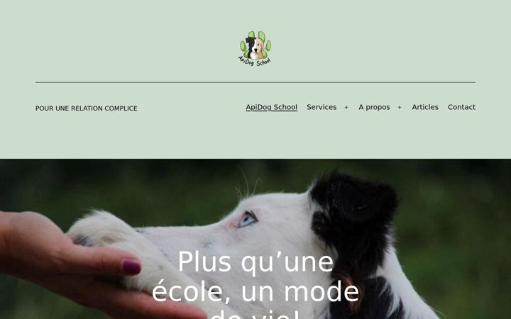 Skjermbilde av apidogschool.com