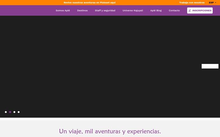Screenshot of apie.com.co