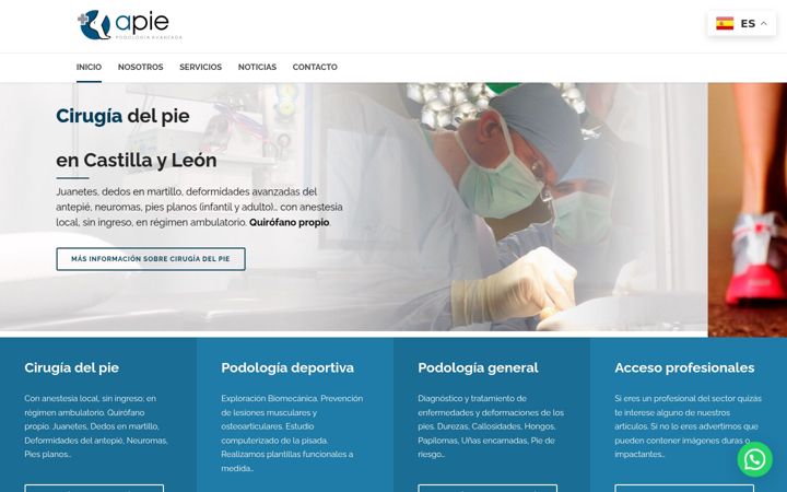 Screenshot of apiepodologia.com