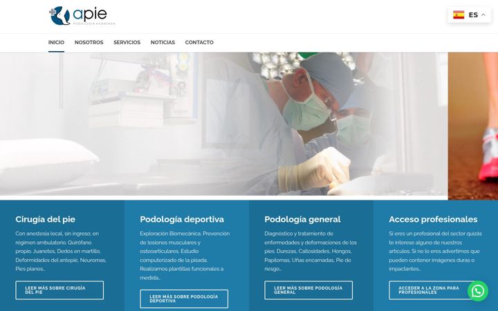 Skjermbilde av apiepodologia.es