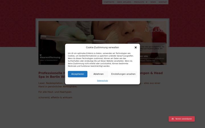 Screenshot of apilaris.de
