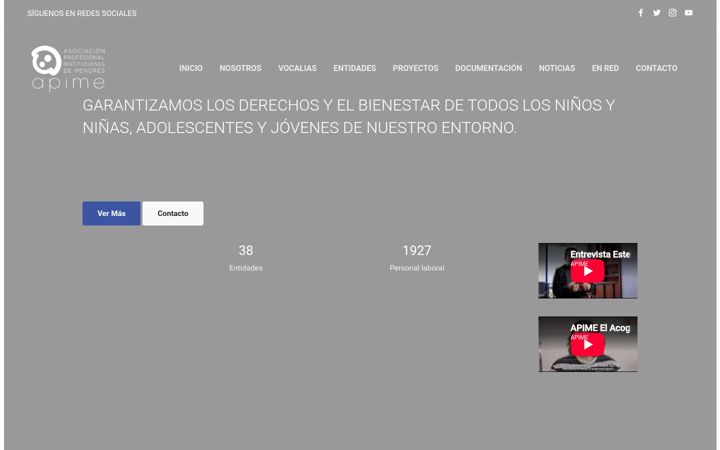 Screenshot of apimecv.org