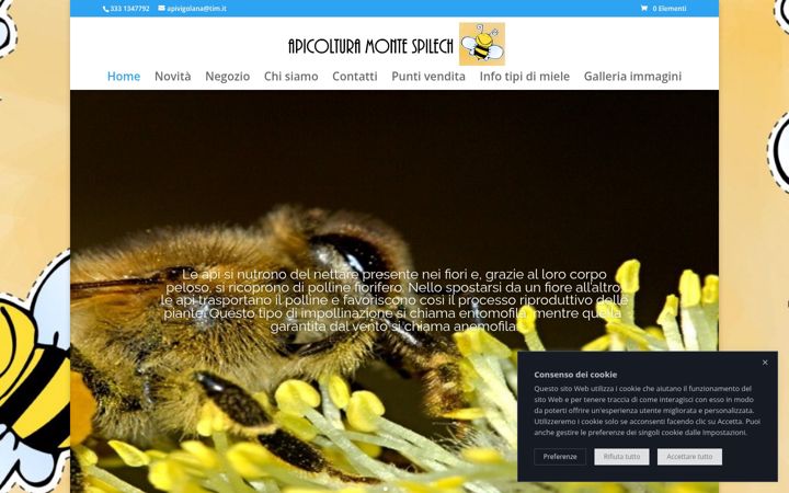 Screenshot of apimontespilech.com