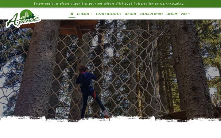 Captura de pantalla de apinac.com