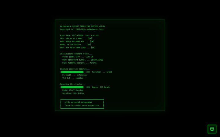 Screenshot stránky apinetwork.fr
