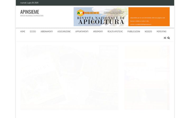 Screenshot of apinsieme.it