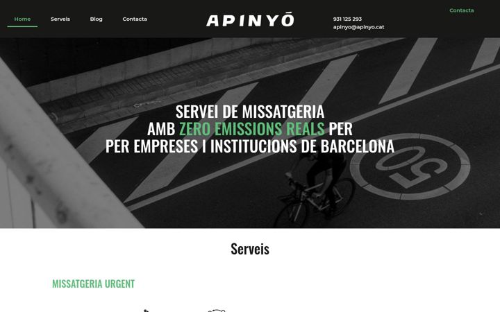 Screenshot of apinyo.cat